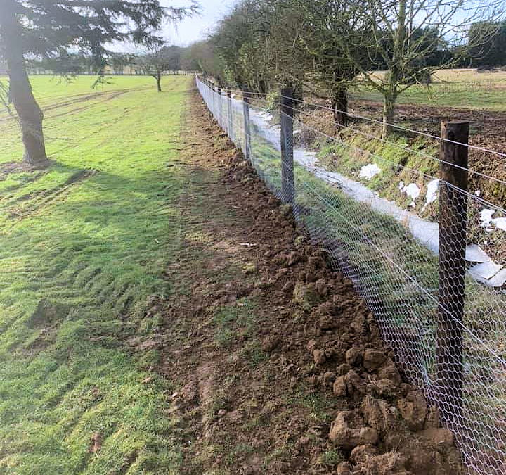 fencing agricultural, equestrian, commercial in Essex, Suffolk gallery image 24